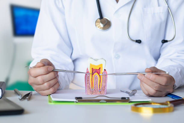 Best Emergency Dental Care for Trauma or Injury in Mart, TX